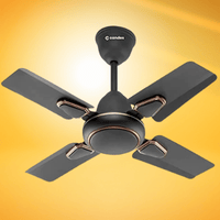 Fan Cailling