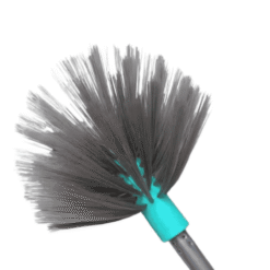 broom Makdi cleanner