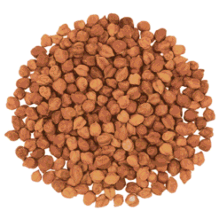 Desi Chana | Kala chana