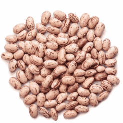 Rajma