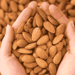 Badam: Sehat aur Buddhi ka Khazana