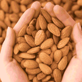 Badam: Sehat aur Buddhi ka Khazana