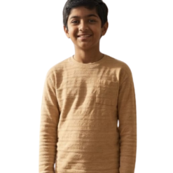Pure cotton premium boy tshirt