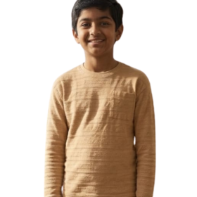 Pure cotton premium boy tshirt