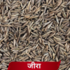 Premium Cumin Seeds (Jeera) | High in Essential Oils | The Perfect Spice for Daily Digestion & Flavor