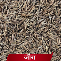 Premium Cumin Seeds (Jeera) | High in Essential Oils | The Perfect Spice for Daily Digestion & Flavor