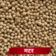 मटर  Safed Matar