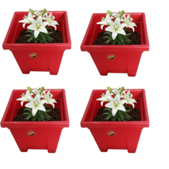 Alternative view of Set of 4 Square Plastic Plant Pots (Red) - 0.8 ft x 0.7 ft