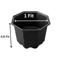 Hexagon Shape Plastic Planter Pot | 1 Feet Black Gamla for Home Gardening & Outdoor Plants (1 x 0.8 Fit)
