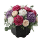 Agrohat - 2026-09-05T013138.960