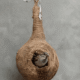 Agrohat (69)