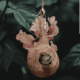 Agrohat (71)