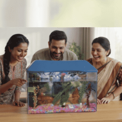 Alternative view of 2 Feet Aquarium Tank with Blue Top Lid | Glass Fish Tank for Home & Office Decor (20 Inch Height)