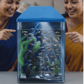 12*20 inch Vertical Glass Aquarium Tank with Blue Top Lid | Tall Fish Tank for Home & Office Interior Decoration