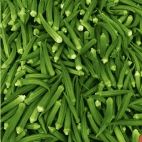 Fresh Lady Finger (Okra) Bhindi/ ताजा हरी भिंडी - Premium Quality