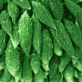 Fresh Bitter Gourd (Karela) / ताजा हरा करेला - Premium Quality