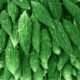 Fresh Bitter Gourd (Karela) / ताजा हरा करेला - Premium Quality