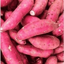 ताज़ा शकरकंद Shakarkand mAaloo (Fresh Sweet Potato / Shakarkand)