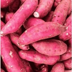 ताज़ा शकरकंद Shakarkand mAaloo (Fresh Sweet Potato / Shakarkand)