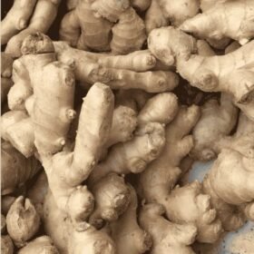 अदरक Adrak (Fresh Ginger / Adrak)