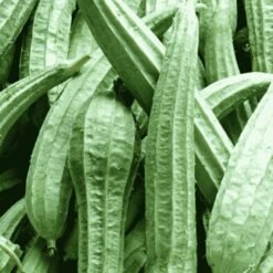ताज़ा झींगा / धारीदार तोरई (Fresh Jhinga / Ridge Gourd)