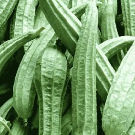 ताज़ा झींगा / धारीदार तोरई (Fresh Jhinga / Ridge Gourd)