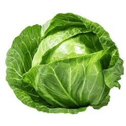 Fresh Cabbage Tite Patta Gobhi/ ताजा पत्ता गोभी - Premium Quality