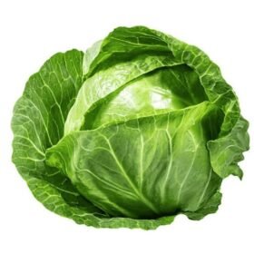Fresh Cabbage Tite Patta Gobhi/ ताजा पत्ता गोभी - Premium Quality