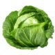 Fresh Cabbage Tite Patta Gobhi/ ताजा पत्ता गोभी - Premium Quality