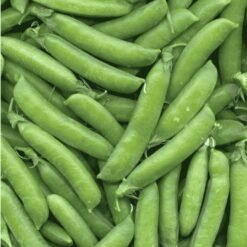 हरी मटर (Fresh Green Peas / Matar Pods)