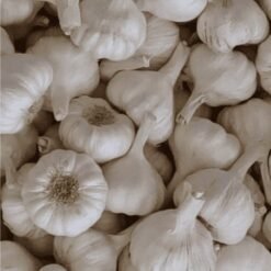 लहसुन (Fresh Garlic / Lahsun)