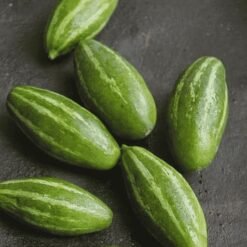 परवल / पटल Potol (Fresh Pointed Gourd / Parwal)