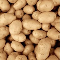 Chipsona Fresh Potatoes (Aloo) - Premium Quality