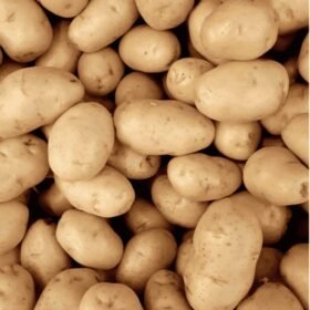 Chipsona Fresh Potatoes (Aloo) - Premium Quality