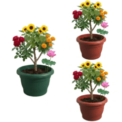 Alternative view of Habby Plastic Plant Pots (0.8 ft x 0.7 ft) - Green & Red