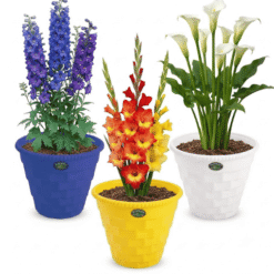 Alternative view of Set of 3 Woven Brick Pattern Plastic Pots (Multicolor) - 0.10 ft x 0.85 ft