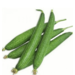 ताज़ा चिकनी तोरई / नेनुआ  Turai(Fresh Sponge Gourd / Smooth Gourd)