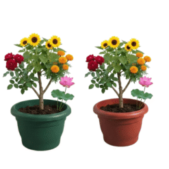 Alternative view of Green & Red Plastic Plant Pots (0.8 ft x 0.7 ft) -