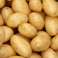 Surya Aaloo Fresh Potatoes (Aloo) - Premium Quality