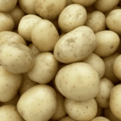 Kurfi Aaloo Fresh Potatoes (Aloo) - Premium Quality