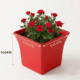 Untitled design (4)