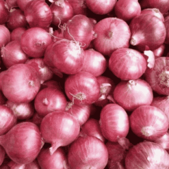 Premium Onion pyaj (ताज़ा और शुद्ध प्याज) - Daily Need Veggies