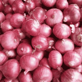 Premium Onion pyaj (ताज़ा और शुद्ध प्याज) - Daily Need Veggies