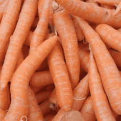 गाजर  gajar (Fresh Orange Carrots)