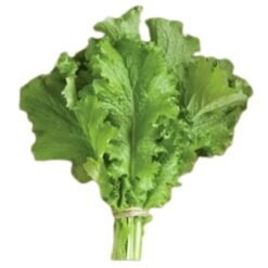 za Sarson ka Saag / Haripattidar Sarson ke Patte (Fresh Mustard Greens Bunch)