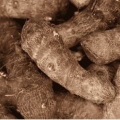 Taza Arbi / Arvi Root / Taro Root (Fresh Fresh Taro Roots)