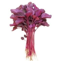 Fresh Red Amaranth (Lal Saag / Chaulai) - Nutrient-Rich Leafy Green