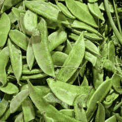 Fresh Green Sem Beans (Papdi / Flat Beans)